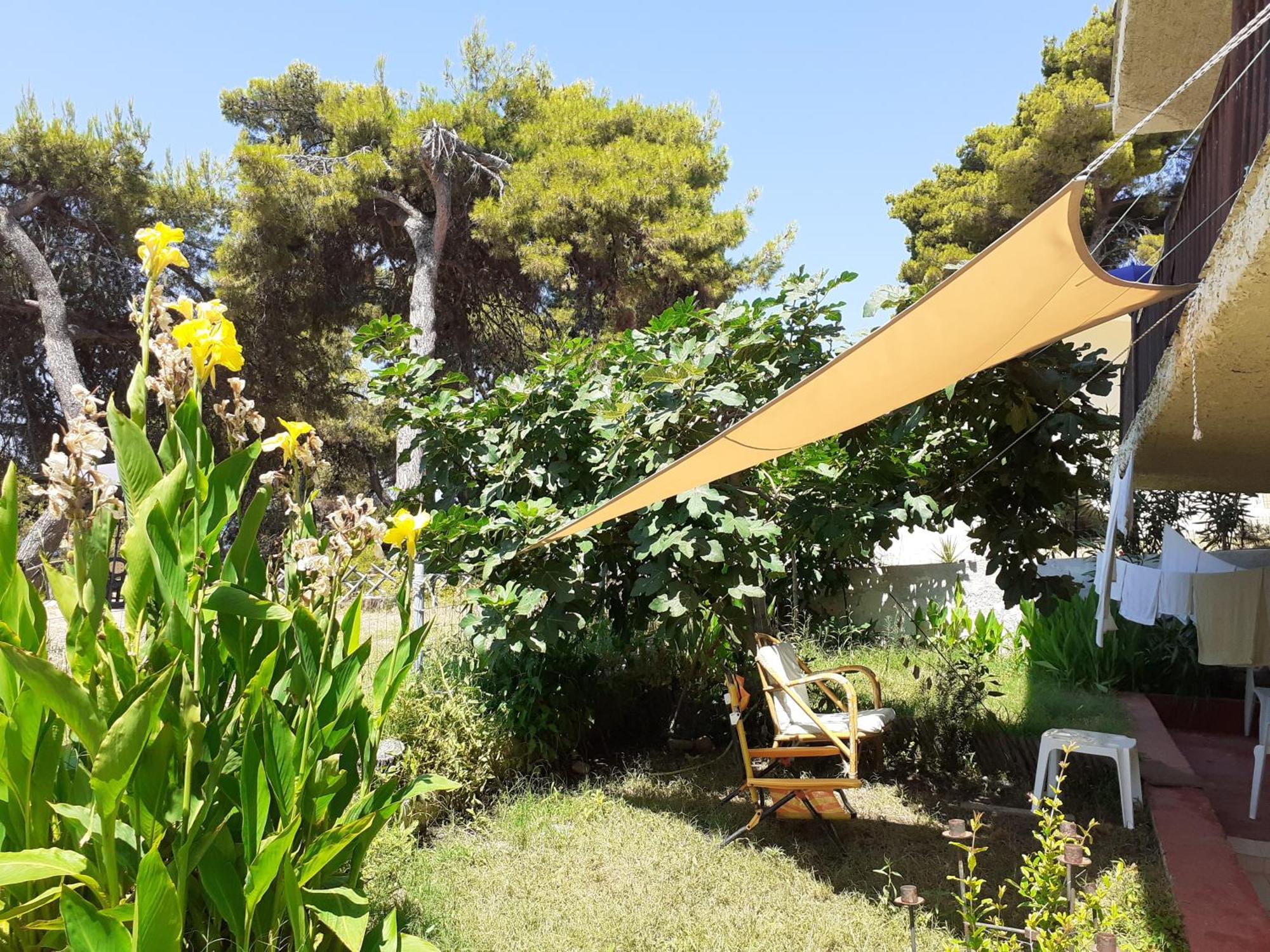 Traditional Guest House Agia Paraskevi  Exteriör bild